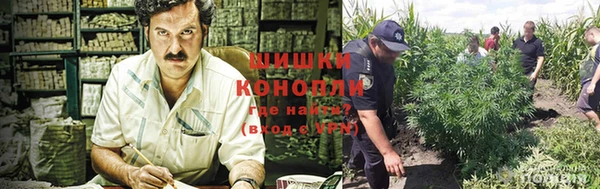 гидра Нефтекумск