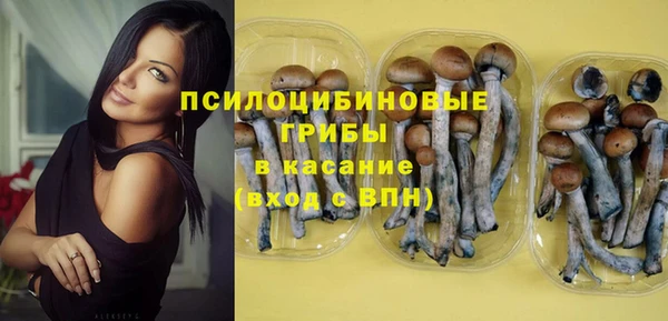 молекула духа Нея