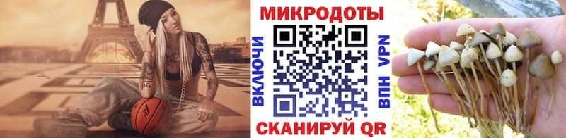 Псилоцибиновые грибы Cubensis  OMG онион  Задонск 